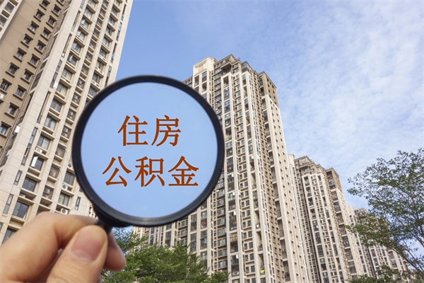垦利离职封存6个月为何提取不了（离职封存6个月从哪天算起）